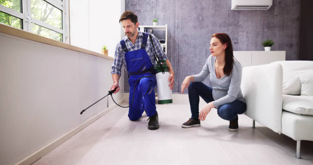 Best Residential Pest Control  in Wickenburg, AZ